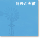 特長と実績